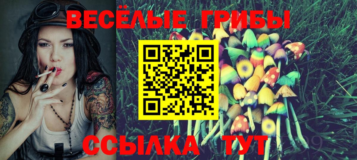 даркнет сайт  Галлюциногенные грибы прущие грибы  Вход с VPN  Грозный 