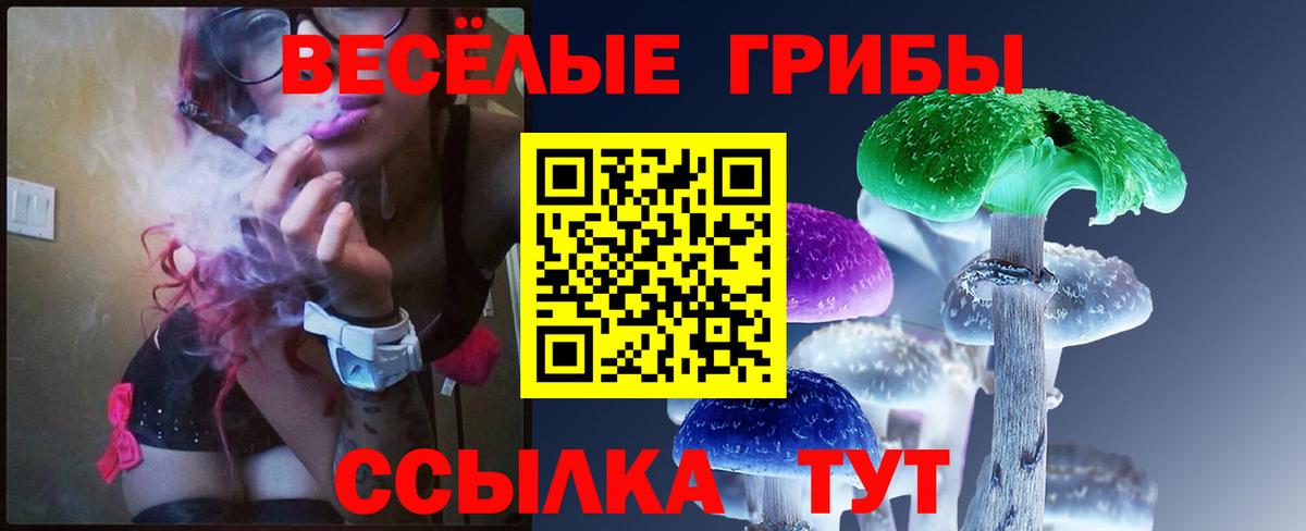 Галлюциногенные грибы мухоморы Грозный