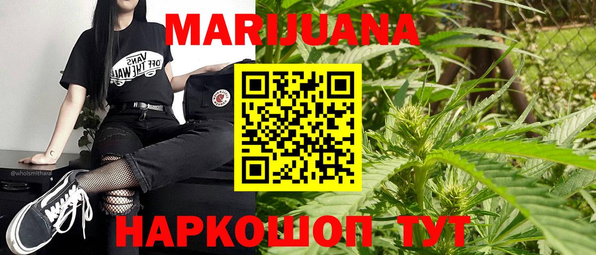 Каннабис планчик  Канабис индика  Канабис ГИДРОПОН  Конопля семена  Вход с VPN  Грозный 